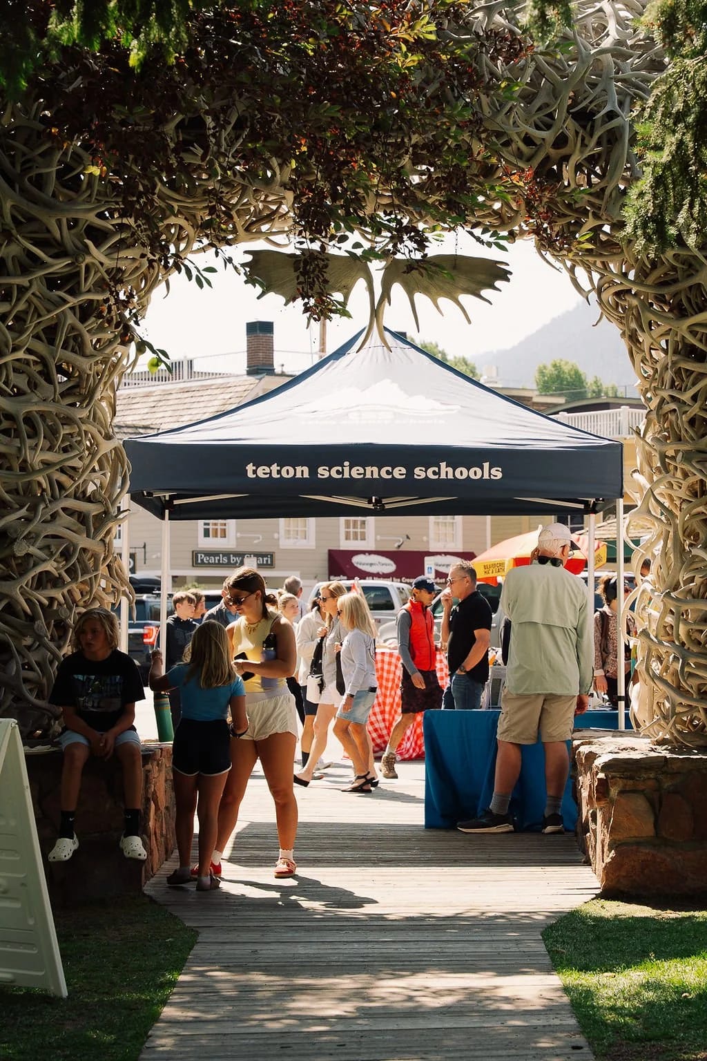 Jackson Hole Farmers Market cover photo