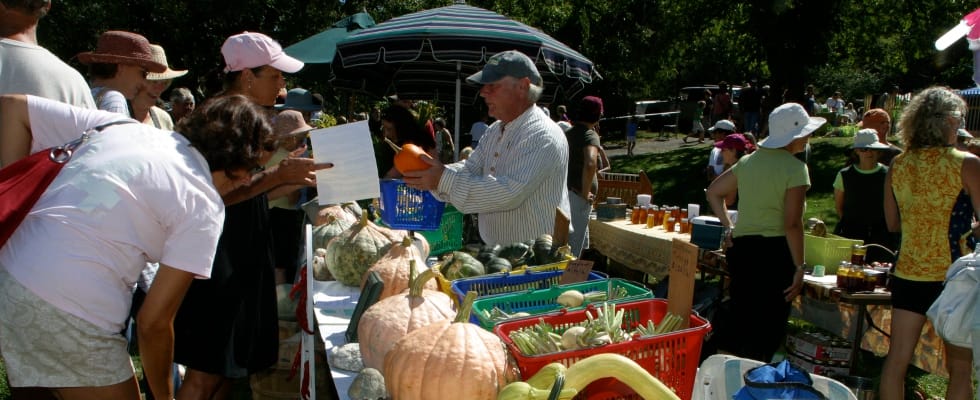 Truro Educational Farmers Market cover photo