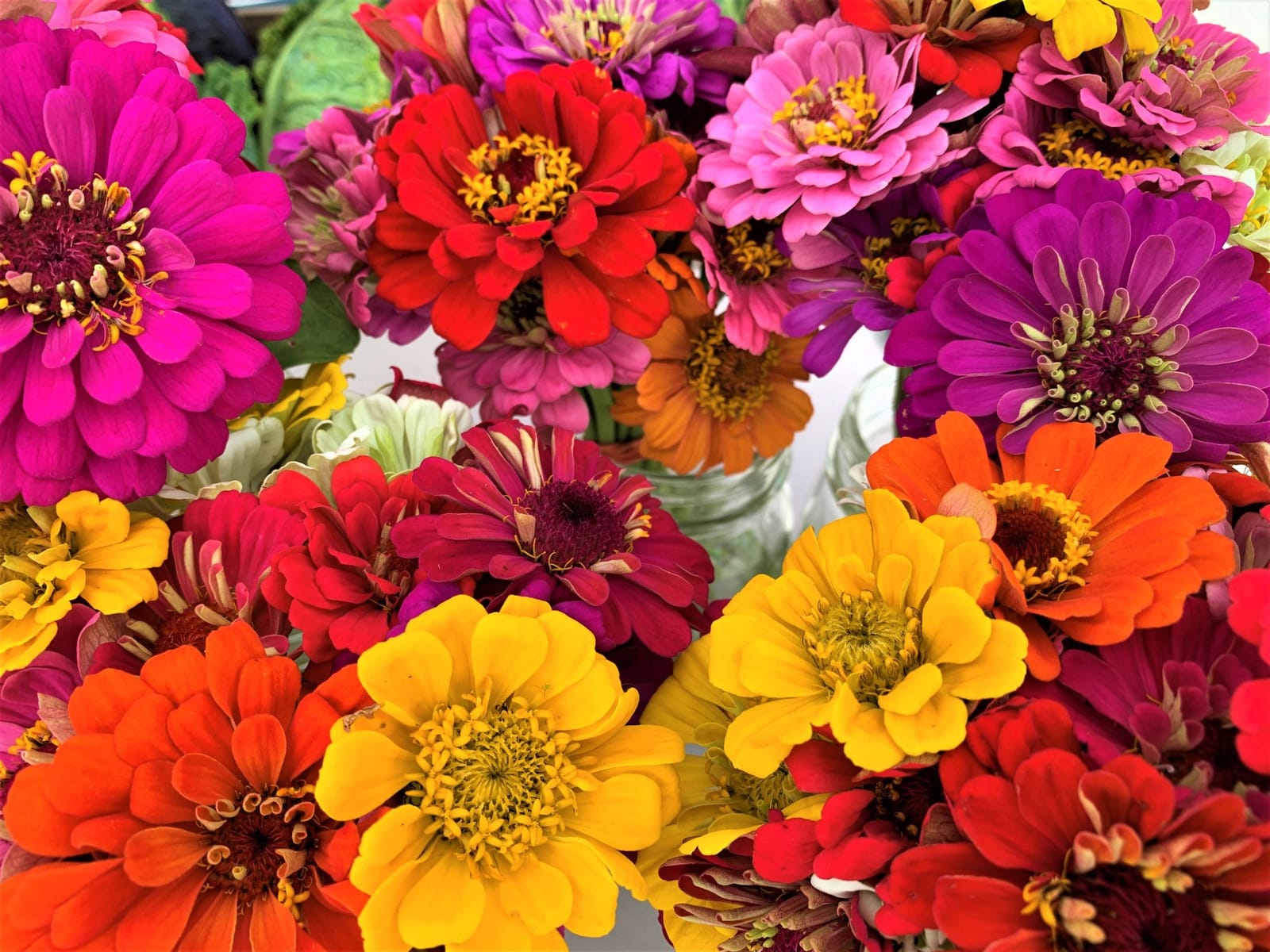 Kingston Springs Farmers & Artisans Market cover photo