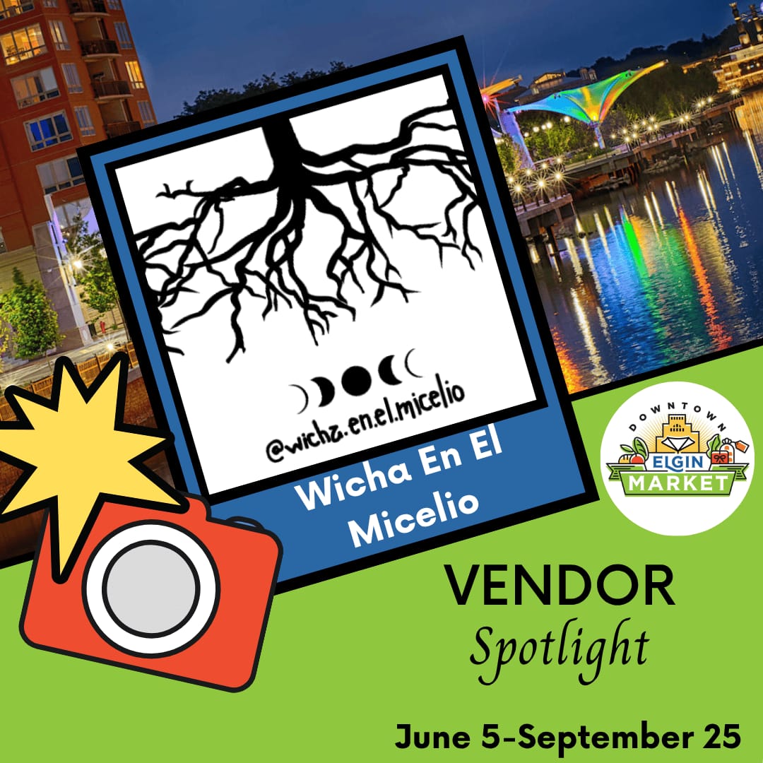 Downtown Elgin Market cover photo