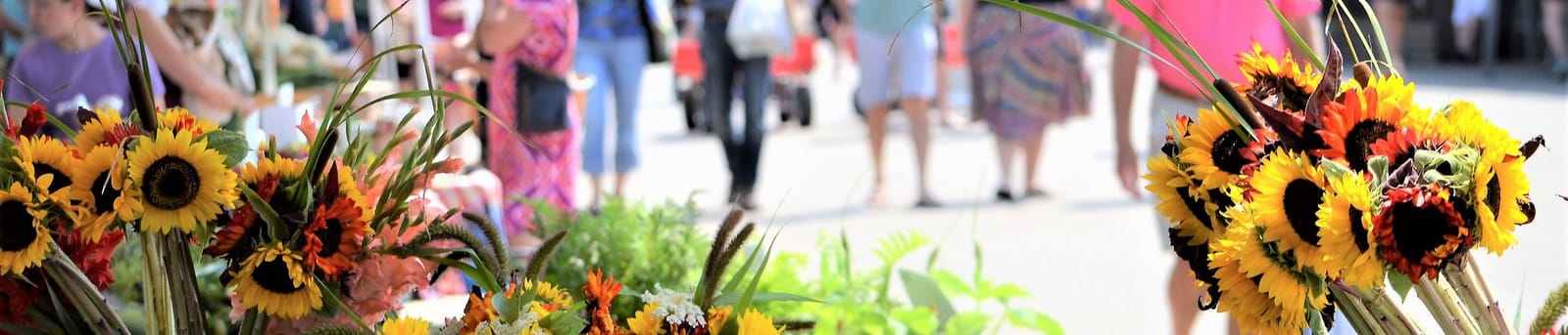 New Lenox Farmers Market cover photo