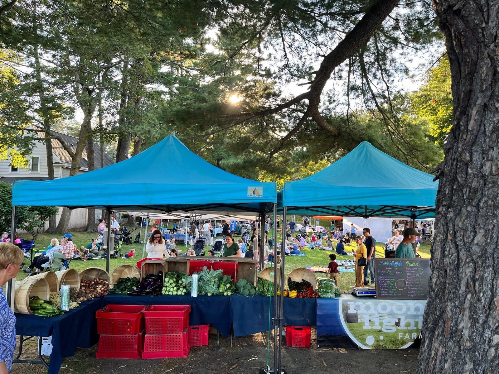 Melrose/Sally Frank's Farmers' Market cover photo