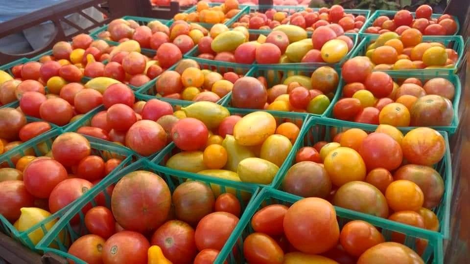 Scott County Farmers Market cover photo
