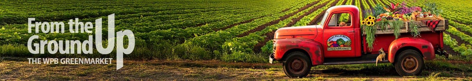 West Palm Beach GreenMarket cover photo