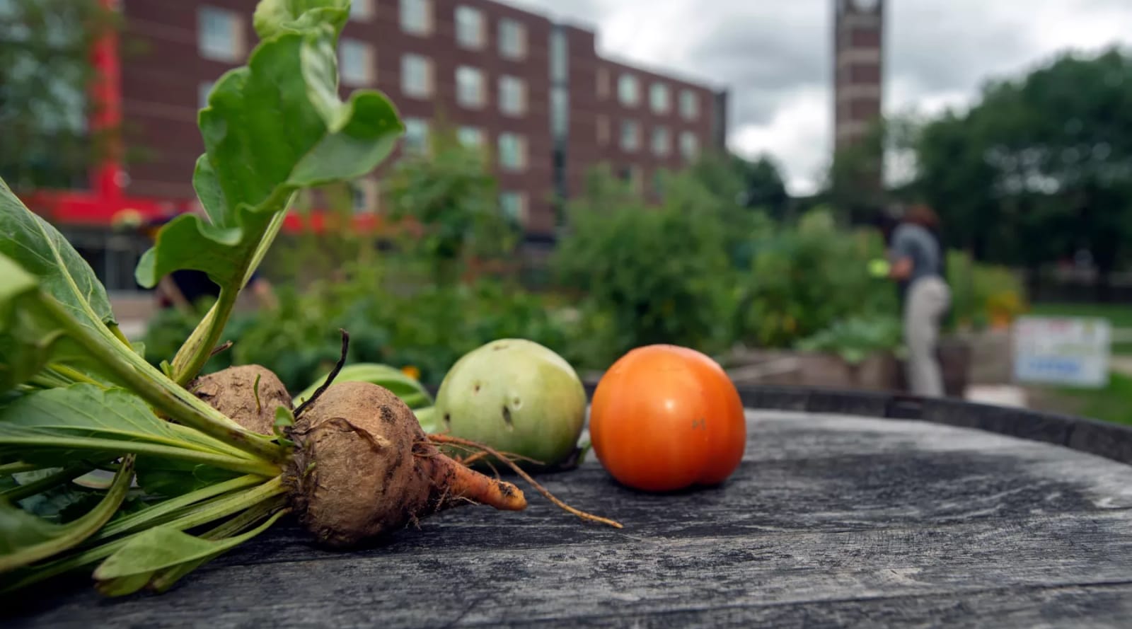 Gray Street Farmers Market cover photo