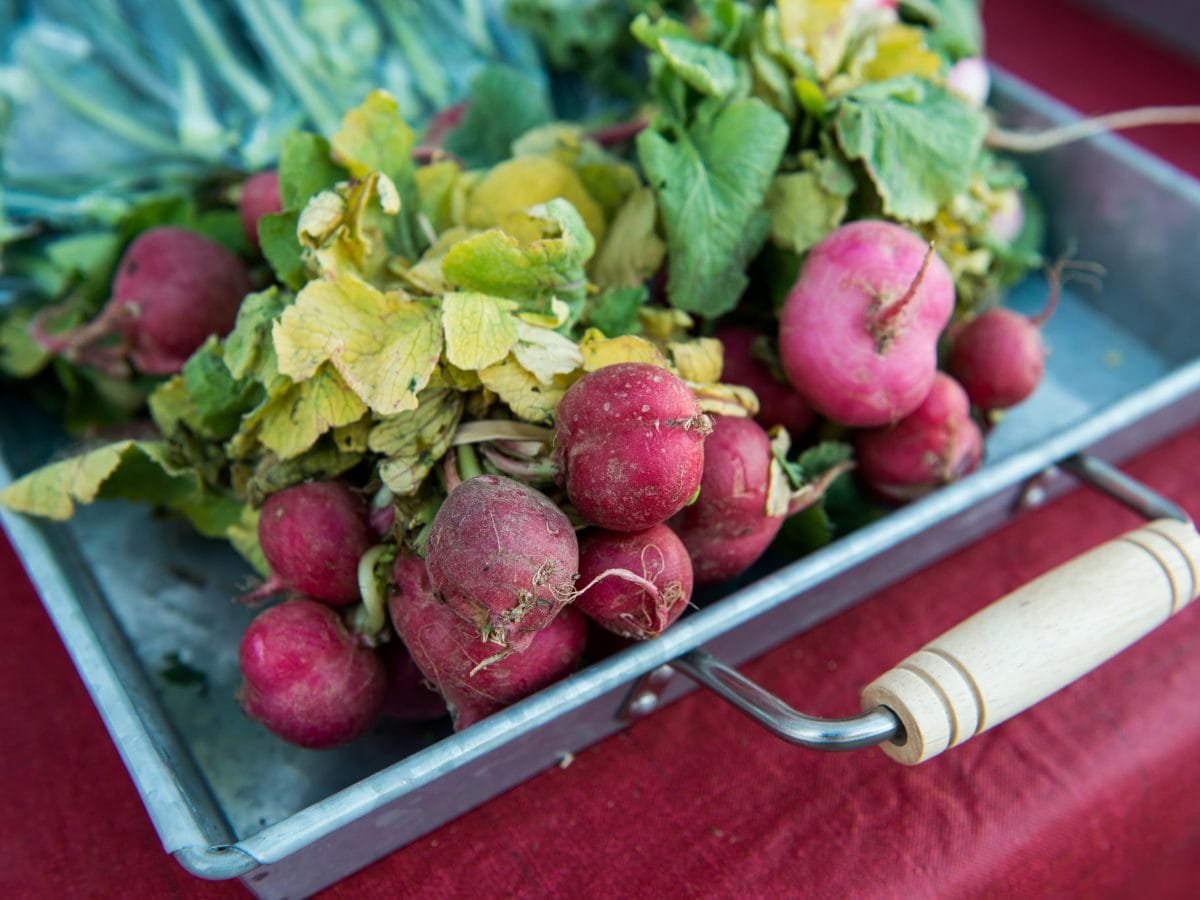 Sheridan Farmer & Artisan Market cover photo