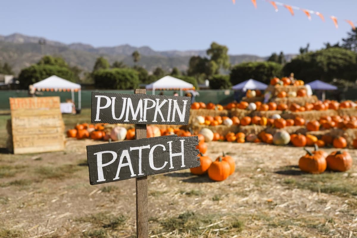 The Howard School Annual Pumpkin Patch