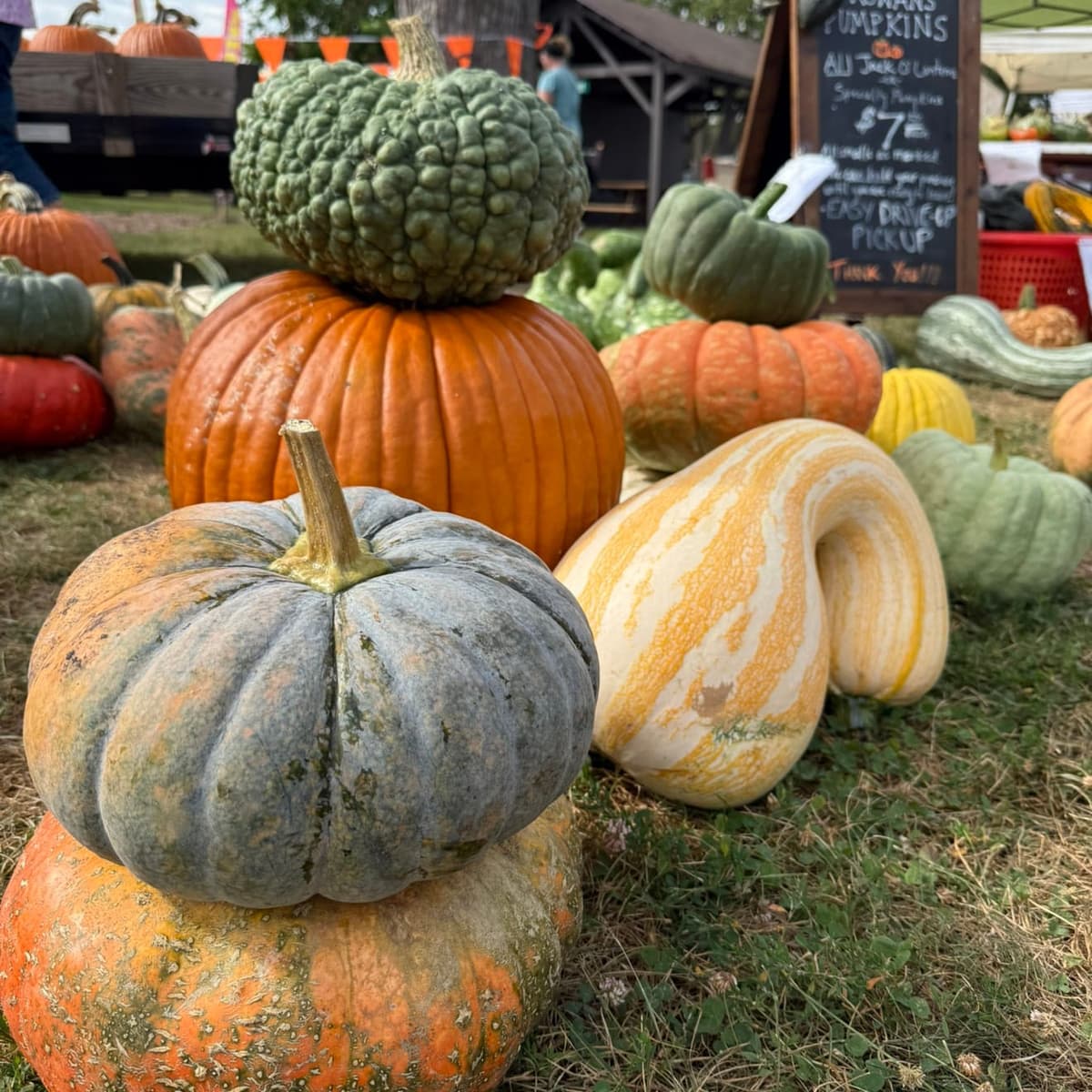 Cedar Lake Farmers Market