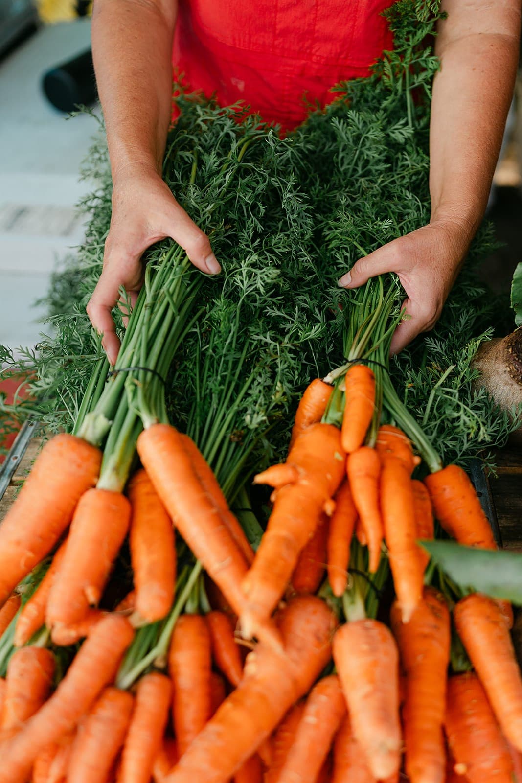 2026 Outdoor Market Season