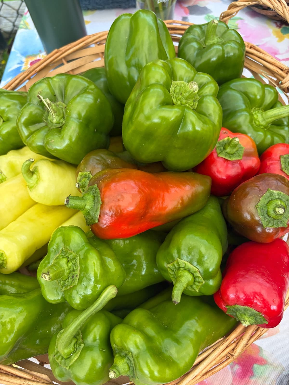A Chance to Grow Farmers Market