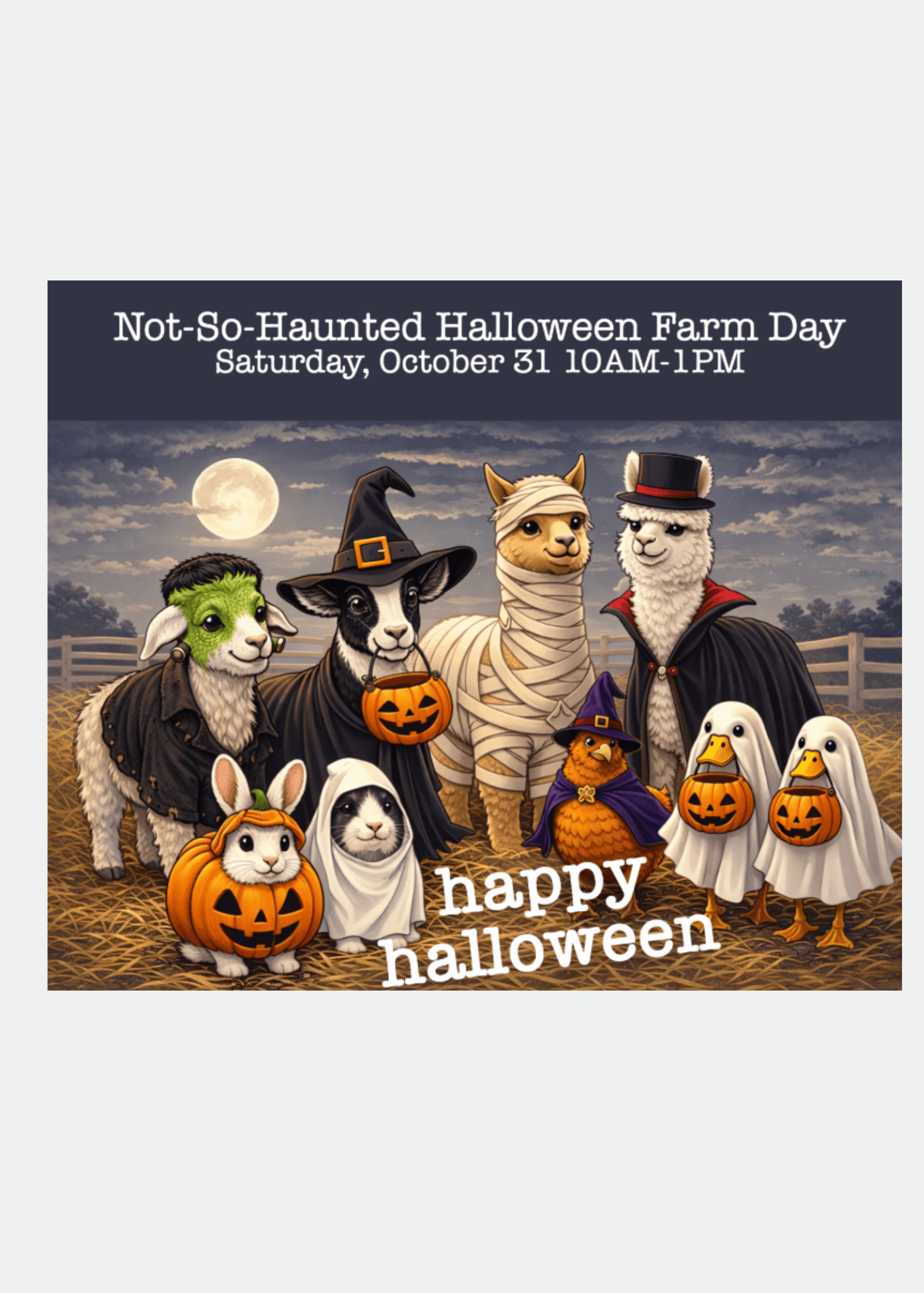 Cover image for Not-So-Haunted-Halloween