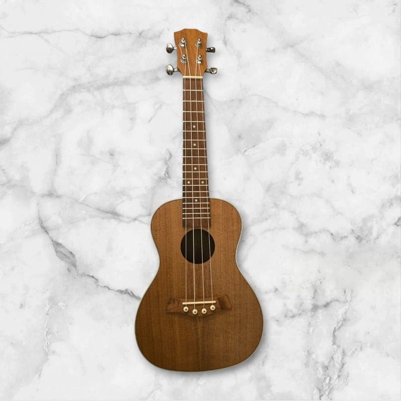Custom Concert ukulele