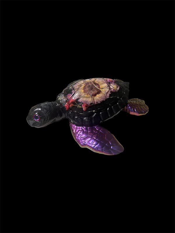 Ms Turtle