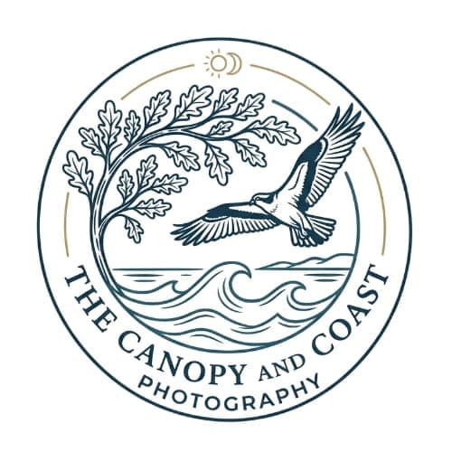 The Canopy and Coast Photography