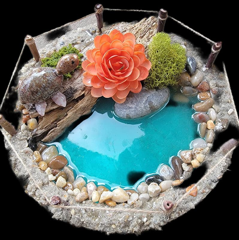 Turtle pond