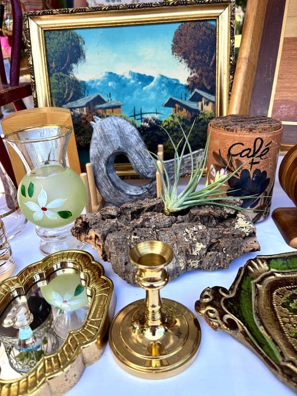 Birdies Thrifty Finds