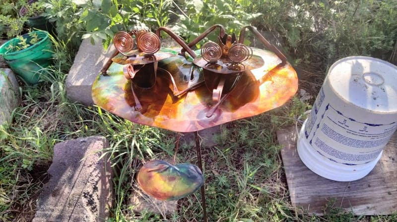 KING AND QUEEN ,FROGS .