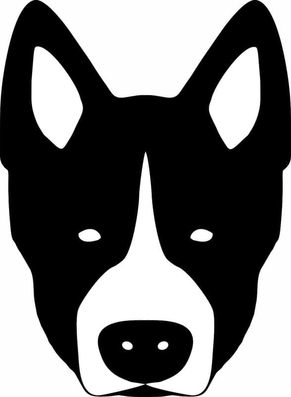 Bear Dog Creations LLC