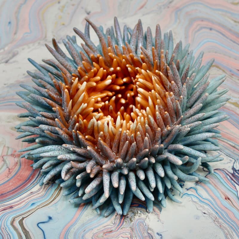 Claire Hart Ceramics
