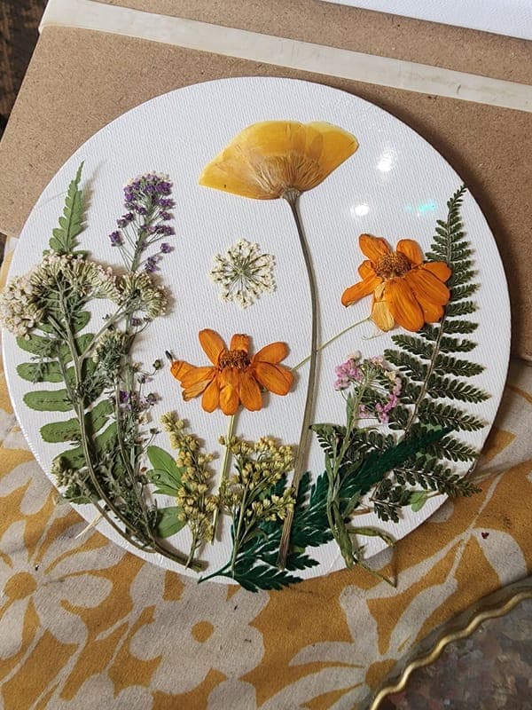 Wildkraft by Heidi