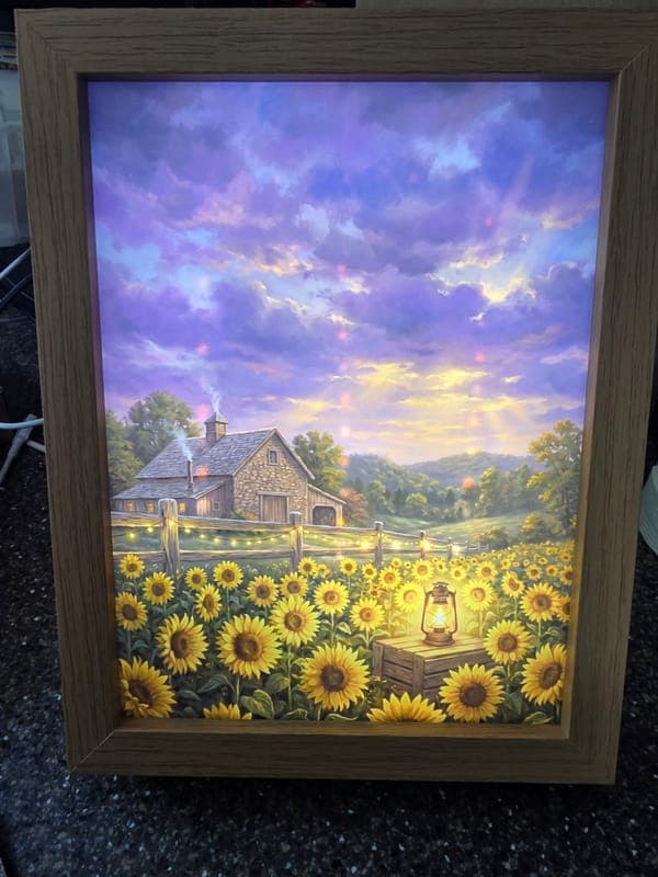 Light up frame with your choice of hangeable picture insert!