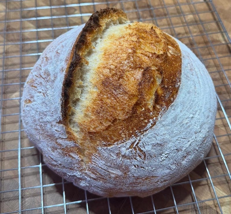 Classic Sourdough