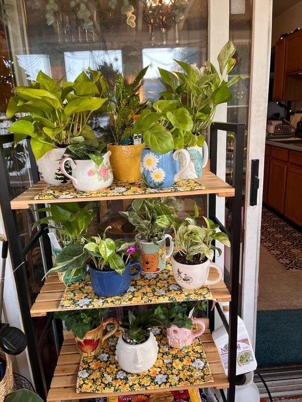 plants for a purpose