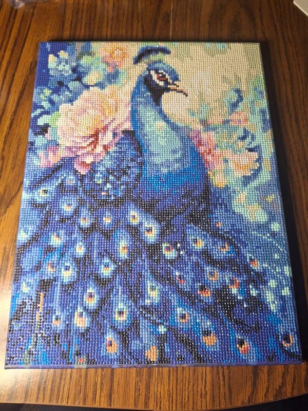 Peacock π¦ Diamond Art