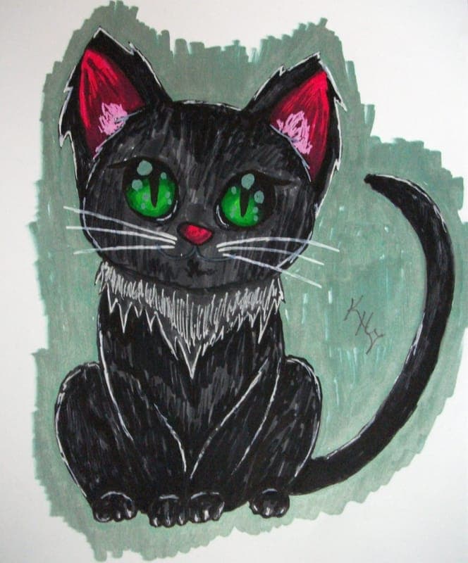 Black Kitty Cat Artist