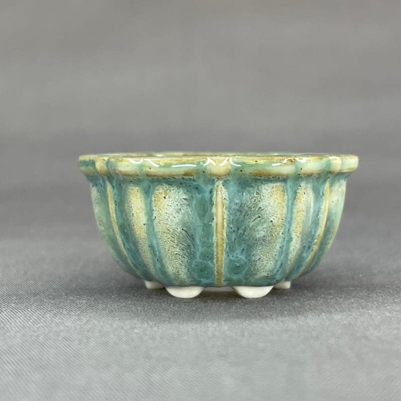 Tiny Flower-Shaped Mame Bonsai Pot in Monstera Moss