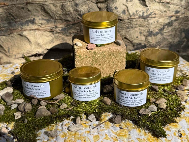 Arnica/Comfrey Pain balm