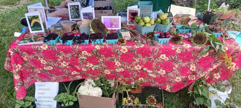 Apple Meadow Farm