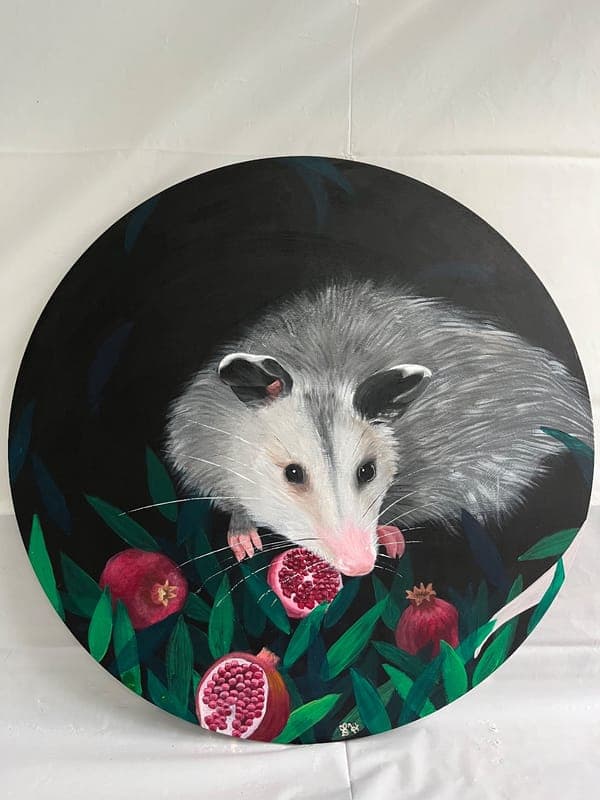Pomegranate opossum