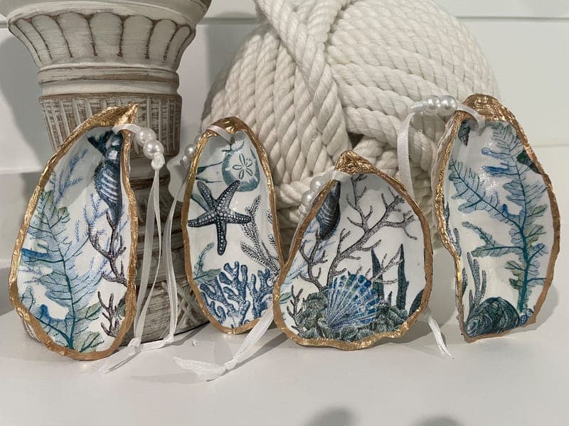 Deb’s Shells