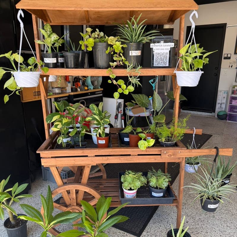 Jenny's Farm Stand