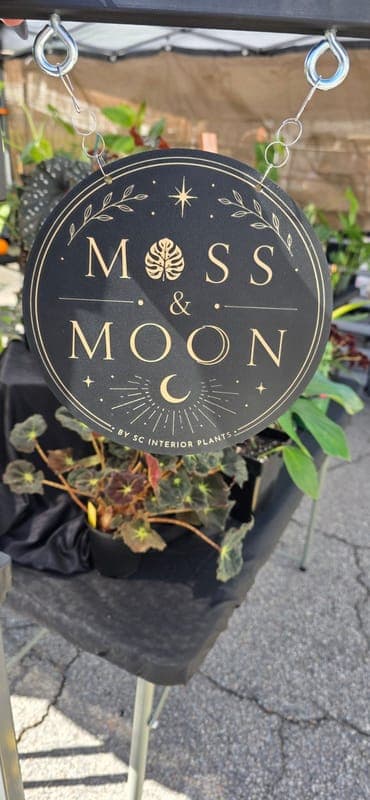 SC Interior Plants/Moss and Moon
