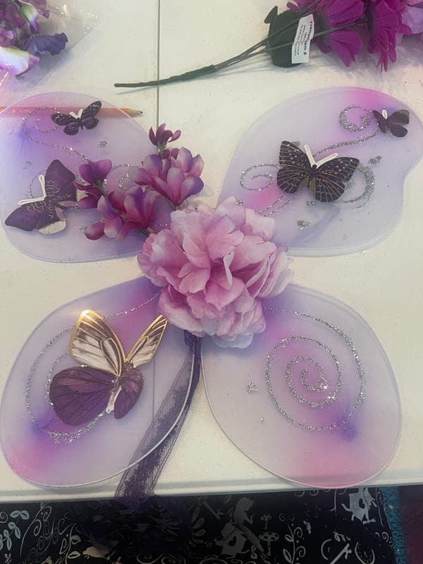 Fairy Phoquery