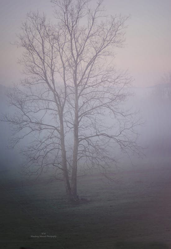Wandering Moments Photography and More