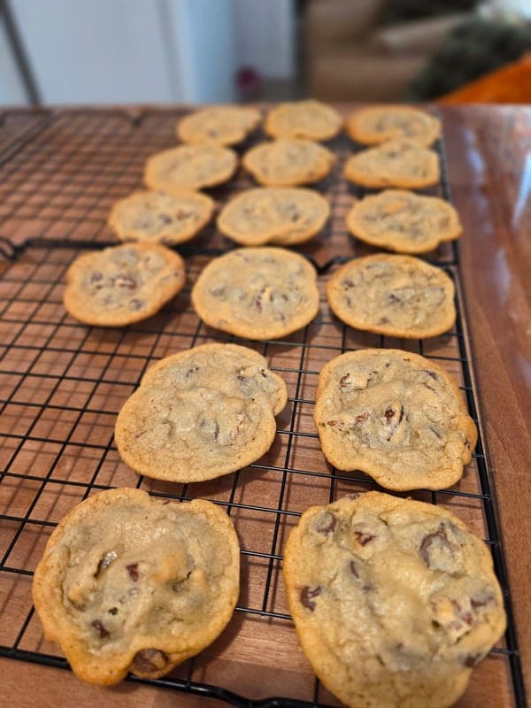 Homemade from scratch Chocolate chip cookies