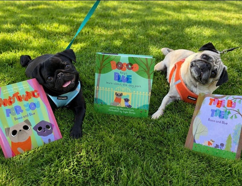 Bosco & Blue Children’s Books