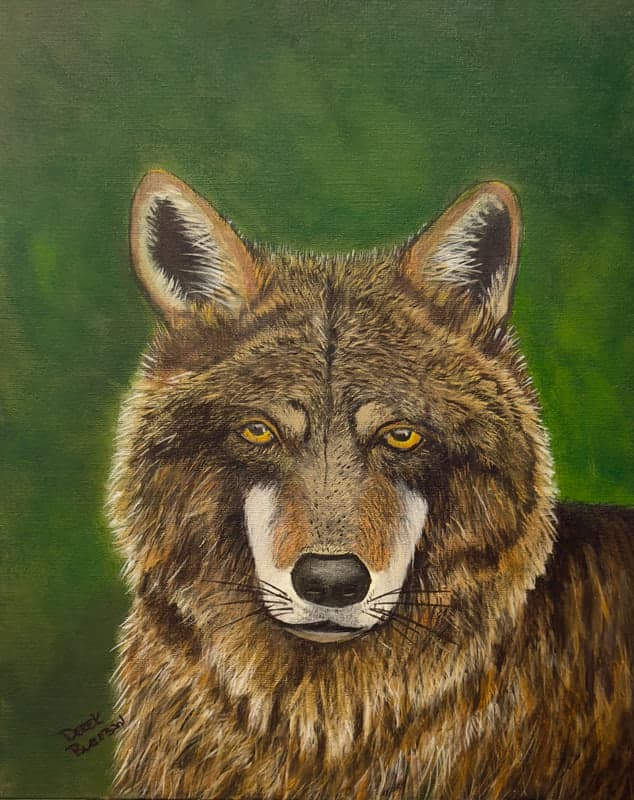 The Lone Wolf