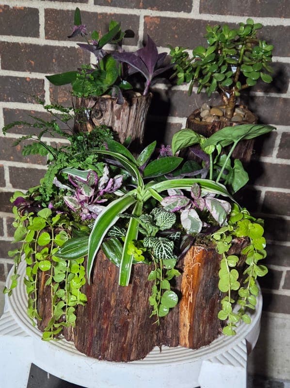 Cedar Container - Tropical plants - Purple inspired