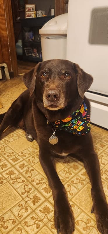 Winnie