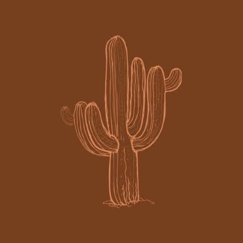 The Lonely Cactus Co