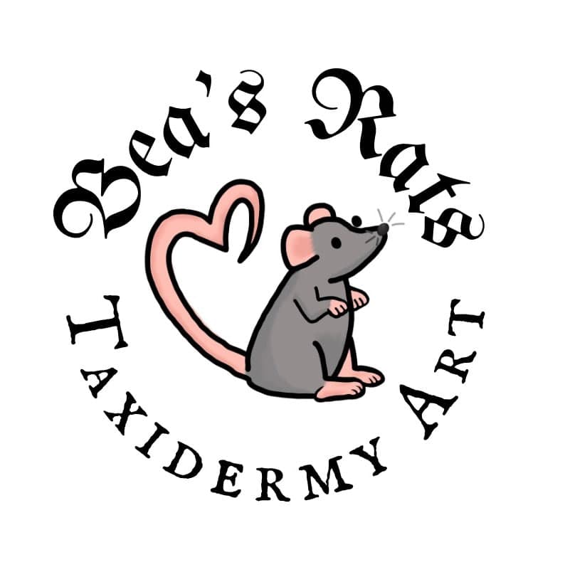 Bea’s Rats Taxidermy Art