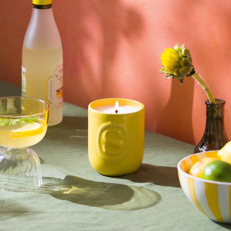 Did you know Scentsy now has CANDLES!