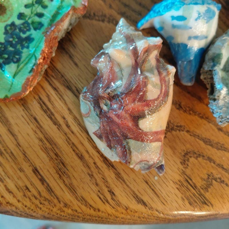 The octopus conch