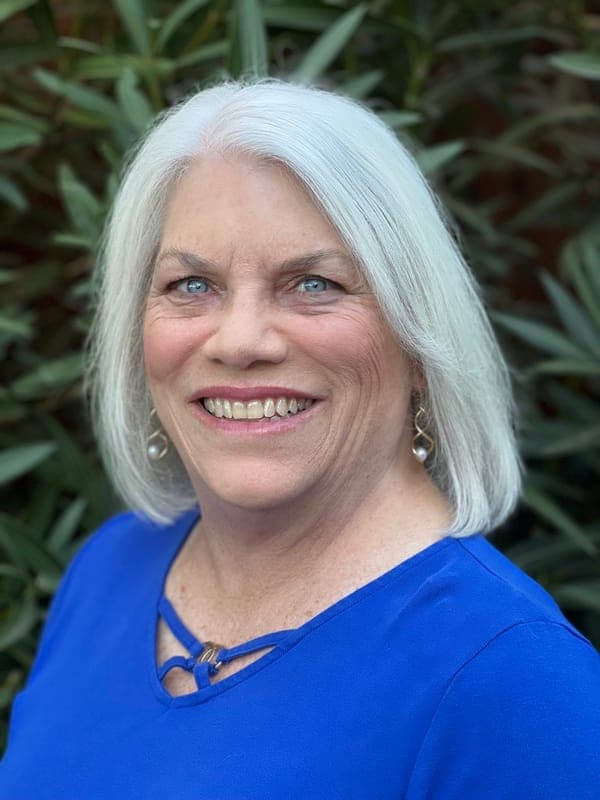 Linda Ulleseit, author